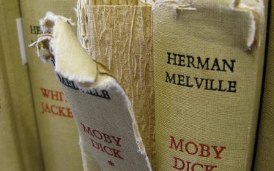 V Prievidzi funguje prvá wikiknižnica