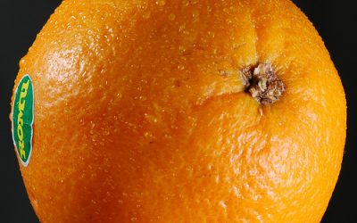 Neziskovky môžu od Orangeu vyhrať 10 000