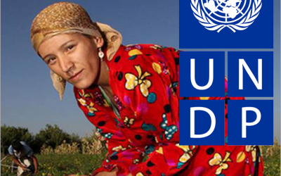 Buďte bližšie k UNDP!