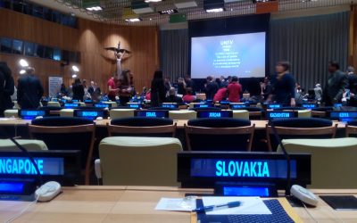 Rada mládeže Slovenska na zasadnutí OSN