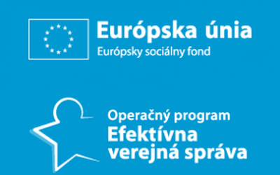 Efektívna verejná správa