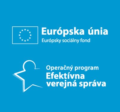 Efektívna verejná správa