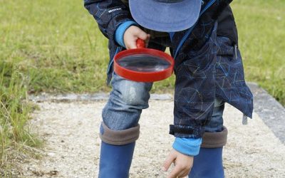 Hľadáme koordinátorku/koordinátora pre politické záležitosti!