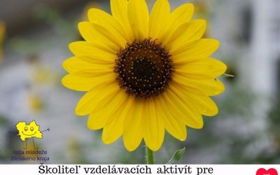 Vzdelávanie – “Školiteľ vzdelávacích aktivít pre problematiku nenávistného vyjadrovania”