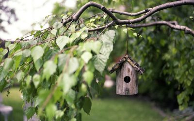 Projekt “Program podpory lokálnych komunít“